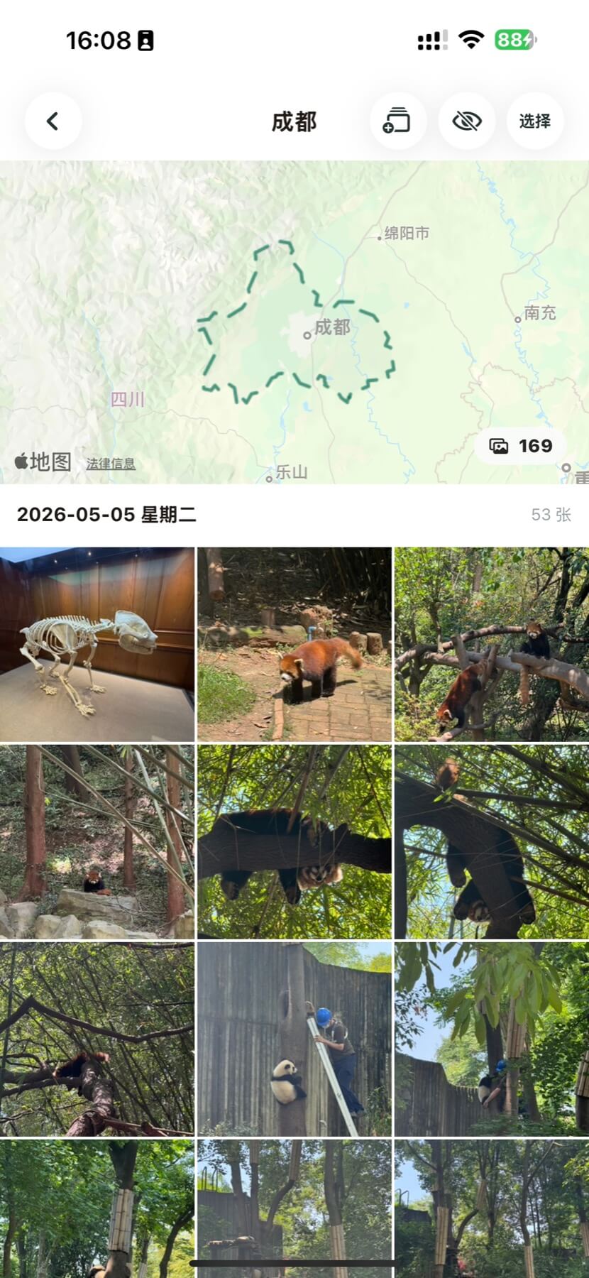 照片与城市整理界面
